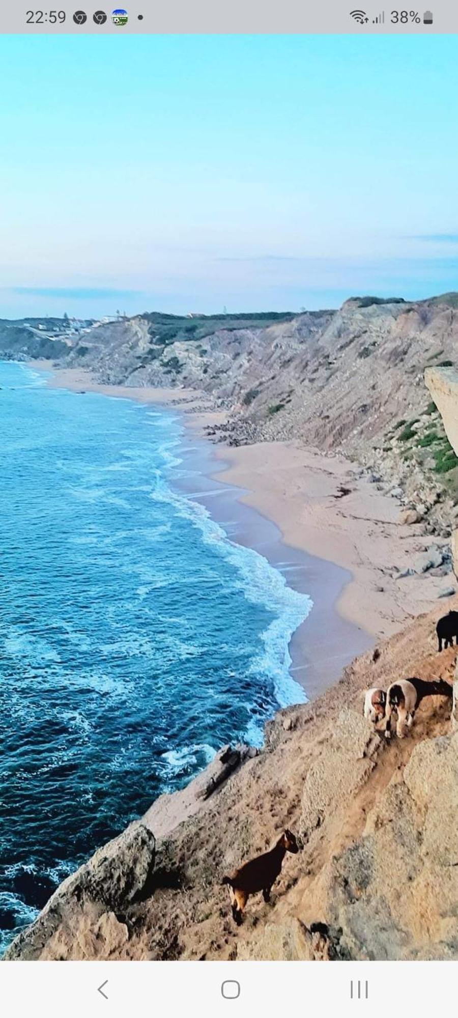 Casa Do Portao Azul - Espadarte Atouguia Da Baleia Dış mekan fotoğraf